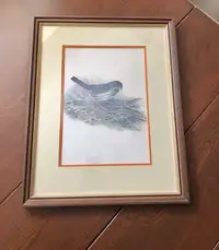 Vintage Bird Art Print Fenwick Lansdowne Framed Nature Picture