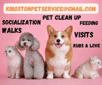 Pet services 