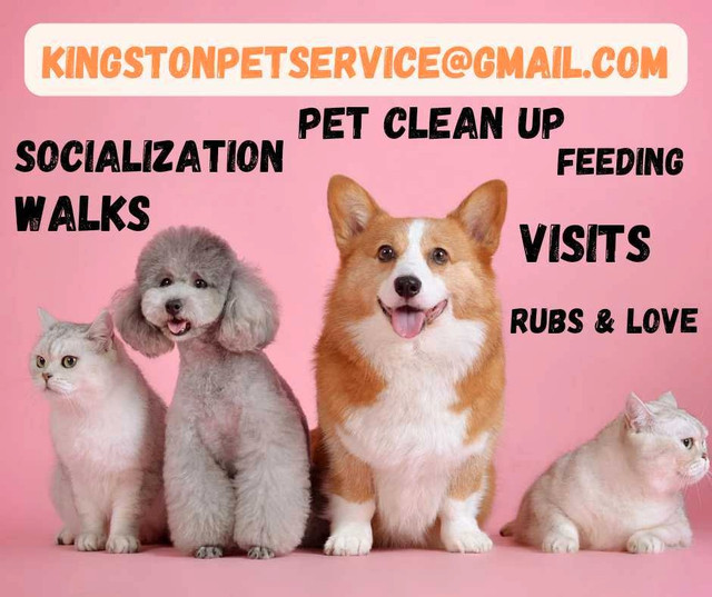 Pet services  in Animal & Pet Services in Kingston