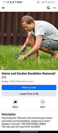 Dandelion Removal! (No Pesticides)