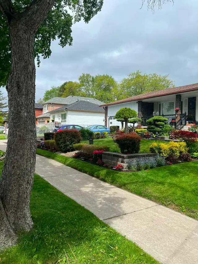 Professional Lawn Mowing/Grass cutting Services in Lawn, Tree Maintenance & Eavestrough in City of Toronto - Image 3