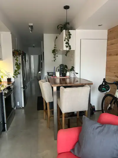 Top quality 1-bedroom, balcony, tons of light, heated cement floors, AC, Bosch dishwasher, washer/dr...