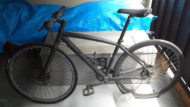 Orbea Carpe, beautiful Spaniard in Road in City of Toronto - Image 2