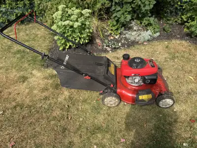 Moteur Honda de 160cc sur tondeuse Troy-Bilt, View more