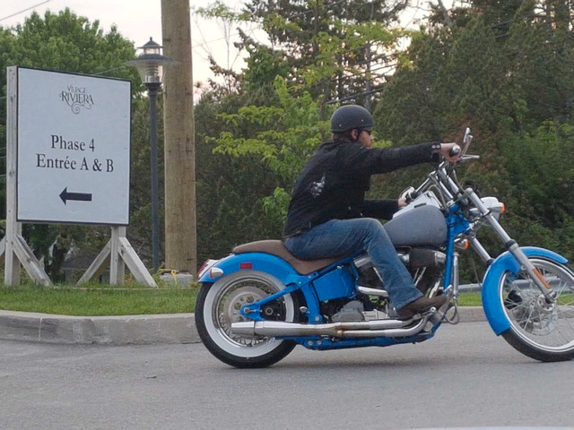 1999 Harley-Davidson FXST Softail Standard in Street, Cruisers & Choppers in Gatineau - Image 3