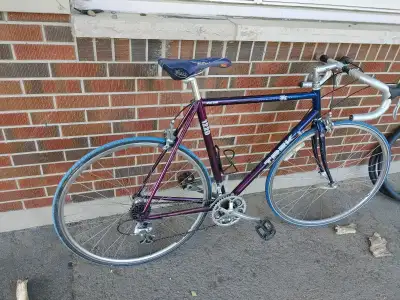 Trek 1220 road bicycle (22.5" aluminum frame), View more