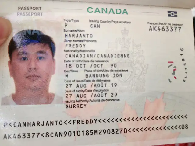 Friends wanted 