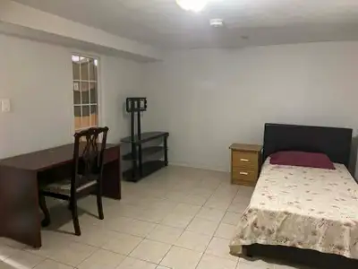 fully furnished, close to all amenities, large spacious apartment shared with male professionals or...