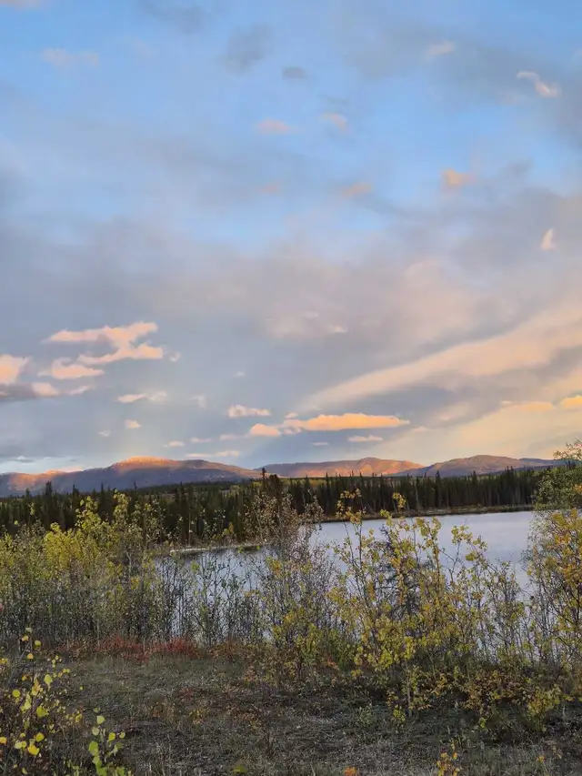 looking for Rental in Long Term Rentals in Whitehorse - Image 2