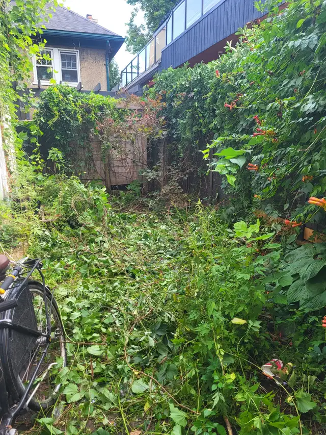 Spring yard clean up417316098267555842