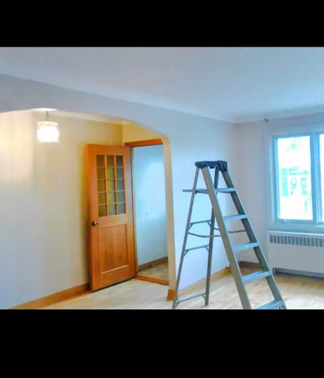 Painter Seeking Jobs64985459883649121