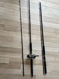 Downrigger rod and reel