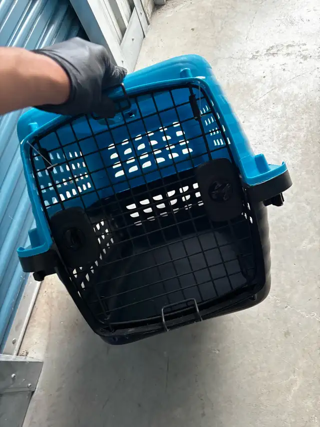 dog cat carrier
