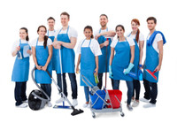 Speedy - Reliable  Cleaning    Services / Maid for You