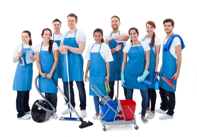 Speedy - Reliable  Cleaning    Services / Maid for You in Cleaners & Cleaning in Oshawa / Durham Region