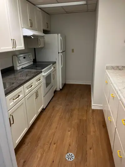 North York Donmills and Finch area detached house lower level master bedroom with full bathroom for...