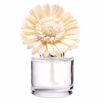New. $18.00 each. Paid $24.00 each plus tax and shipping. 4 available Scents : Water Lily and Bergam...