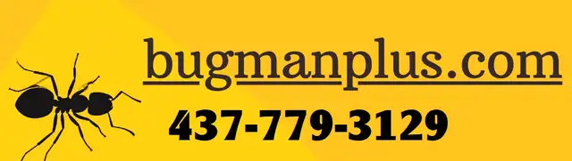 bedbugs control 4377793129 in Child Care in Mississauga / Peel Region - Image 4