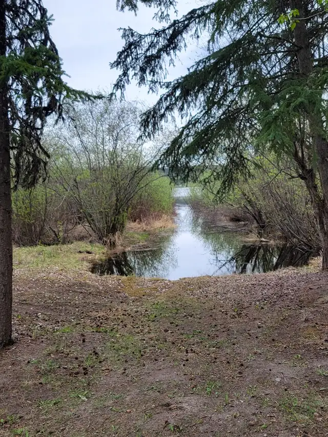 Vacant Land. in Land for Sale in Burns Lake - Image 11