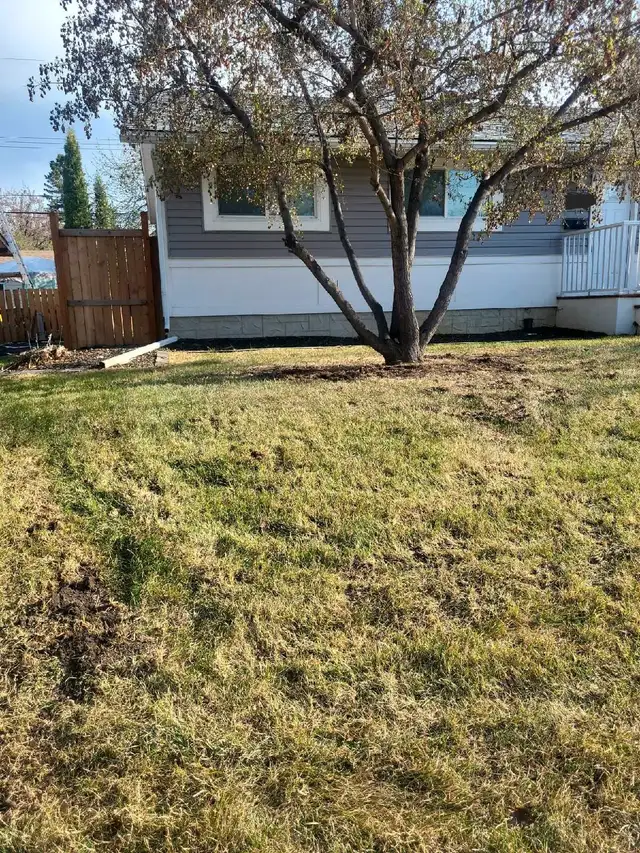A&Z Grass Cutting and Lawn Services62863222625667122