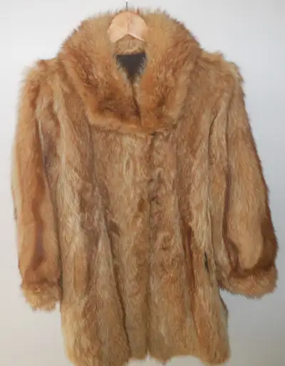 Fur Coat, View more
