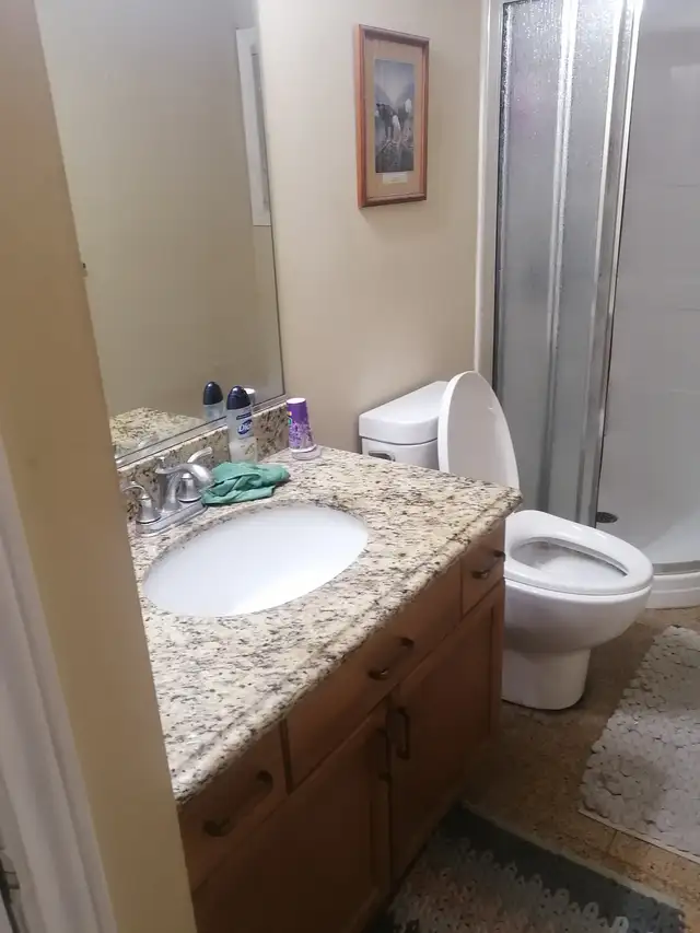 Beautiful furnished room for rent in Owen Sound. in Room Rentals & Roommates in Owen Sound - Image 7