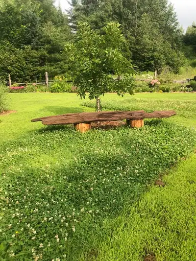 Banc unique, bois flotté, 10' 1/2 de long,, View more