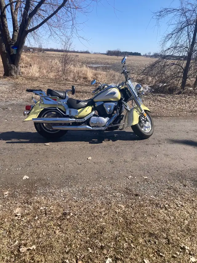 1998 Suzuki Intruder 1500 in Touring in Ottawa - Image 8