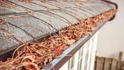 EAVESTROUGH CLEANING/REPAIR call/text Stu for quote 587-707-6699, View more