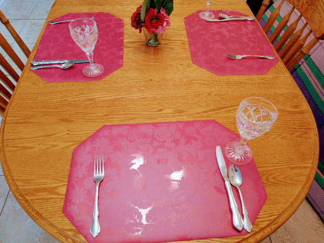 Set of 8 INDOOR  OUTDOOR  PLACE MATS in BBQs & Outdoor Cooking in Oakville / Halton Region - Image 2