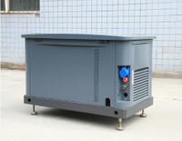 Silent Type 20 kW Generator: Dual Fuel, Natural Gas &Propane