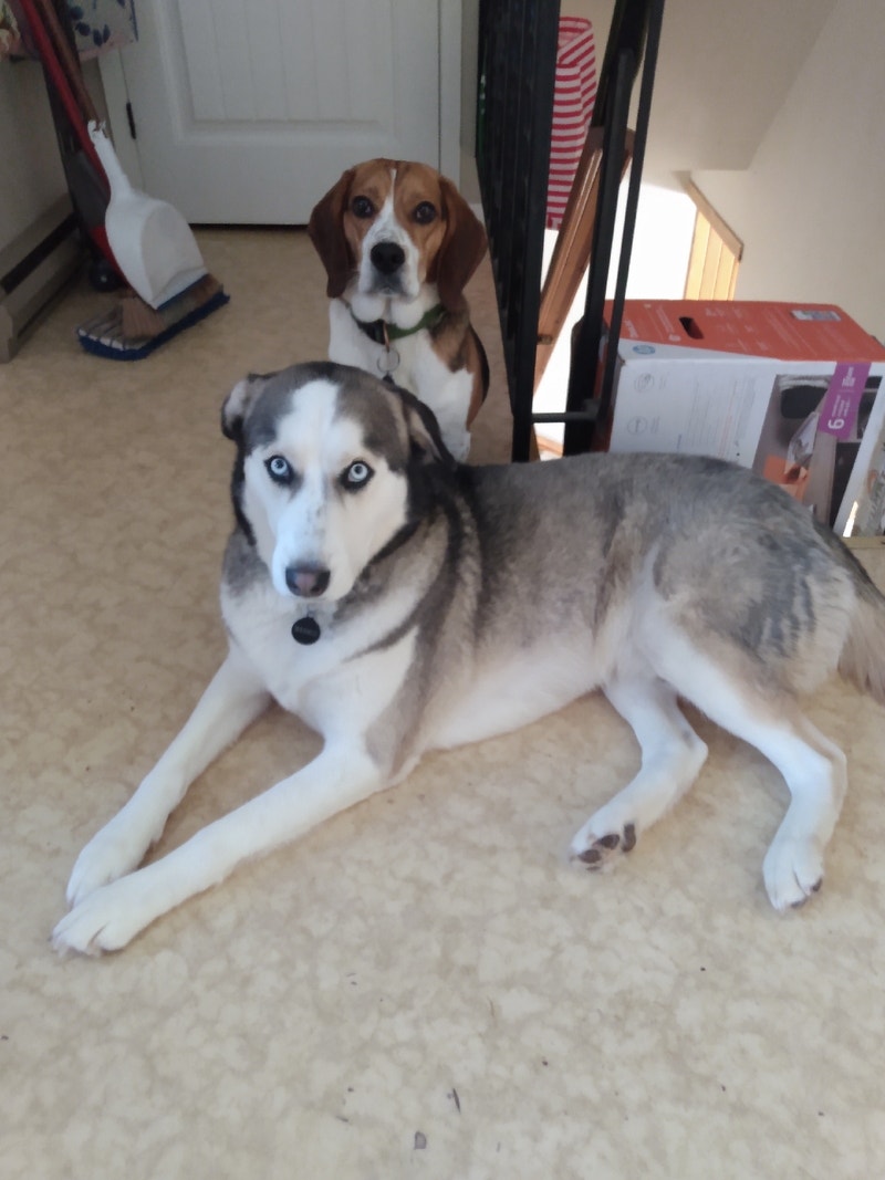 Room for rent Room Rentals & Roommates New Glasgow Kijiji