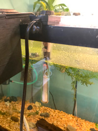 Aquarium Filter and heater