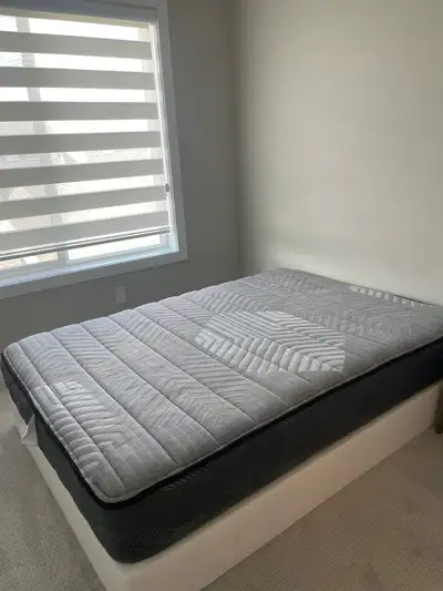 Spare room sealy full size mattress and ikea bed frame. Never used. Pick up only.