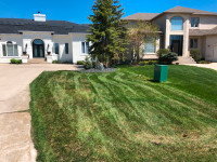 The Lawn Whisperer Spring Cleanup/Grass Cutting