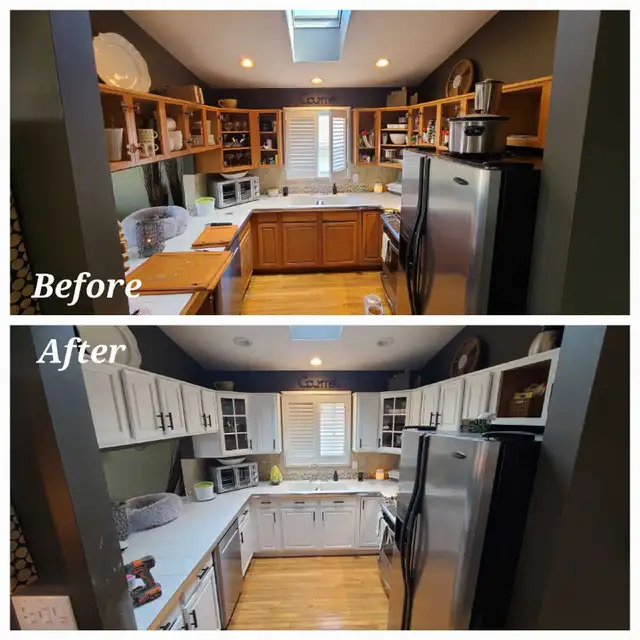 Professional Painter 482653092541911046