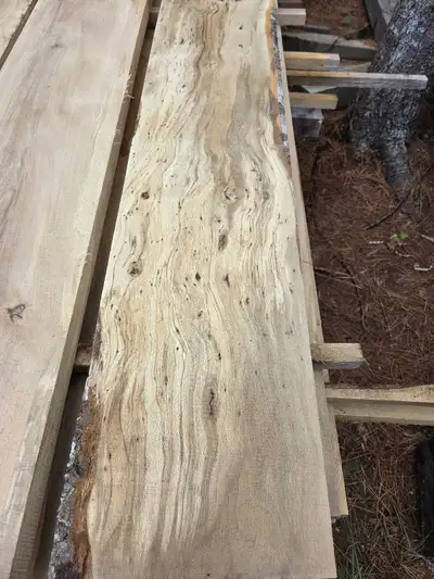 Unique pieces of beech lumber. Spalting and curly figure present in some of the pieces. Some quarter...