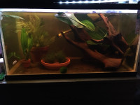 15 gallon fish tank