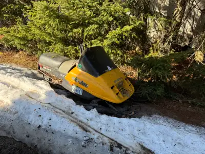 Ski doo citation 250 single. Missing some parts but engine is free and track is there. Needs exhaust...
