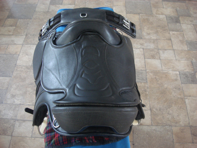 Dressage Saddle in Equestrian & Livestock Accessories in Peterborough - Image 2