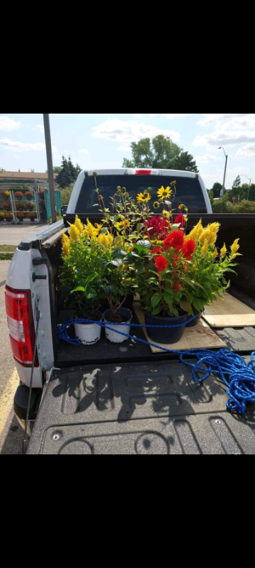 Affordable small move $40 and up, View more