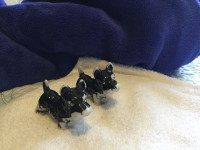 Vintage Miniature Scottie Dogs