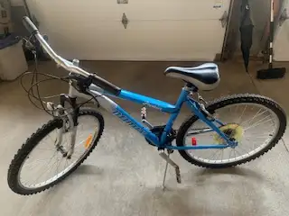 Women's infinity premier mountain bike $100, View more