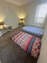 Female room for rent 