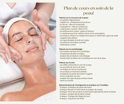 Formation/Cours en soin de la peau (facial) spécial mega rabais, View more