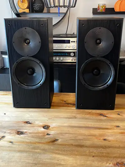 Nuance Advantage speakers, View more