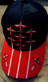 Baseball Cap/Hat "SNOWBIRDS" beautiful design,  $45