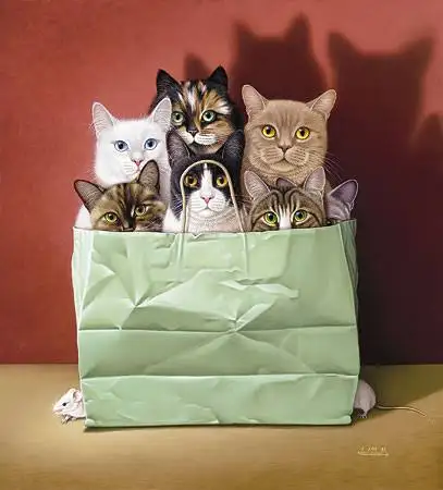 Surprise Bag of Books