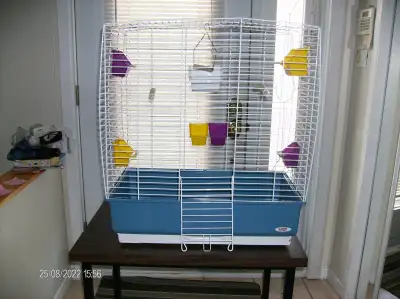 Bonjour, j’ai à vendre une cage à oiseaux de marque LIVING WORLD De LUXE #82945 (très propre). Elle...