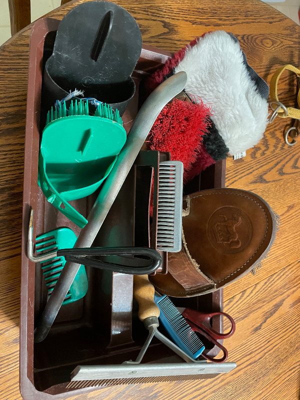 Horse Supplies: Grooming Kit with Tote in Equestrian & Livestock Accessories in Saskatoon - Image 2